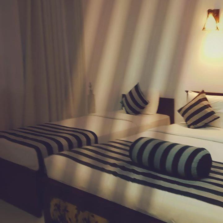Shadow Inn Ела Стая снимка